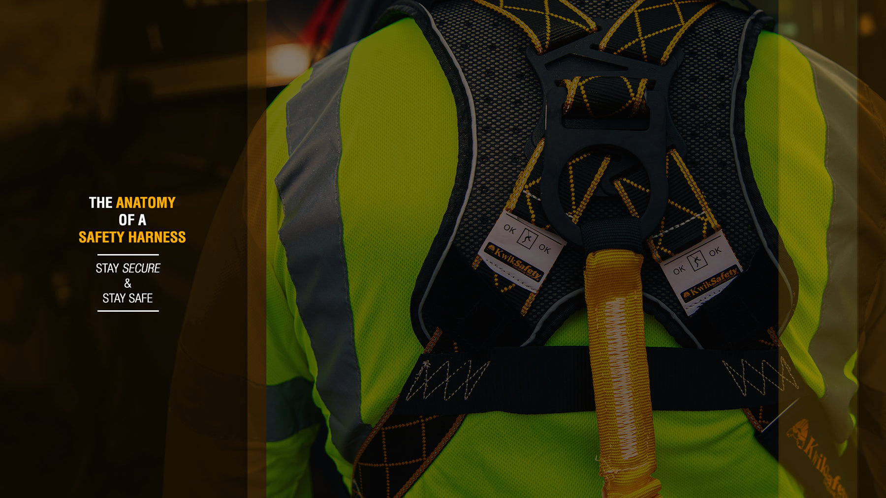 The Anatomy of a Safety Harness
