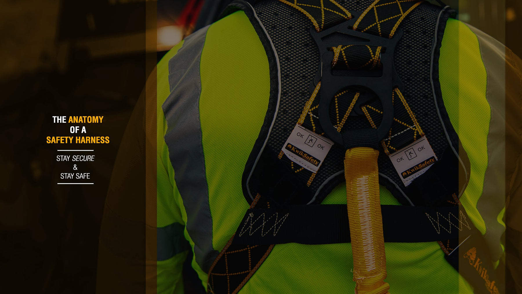 The Anatomy of a Safety Harness