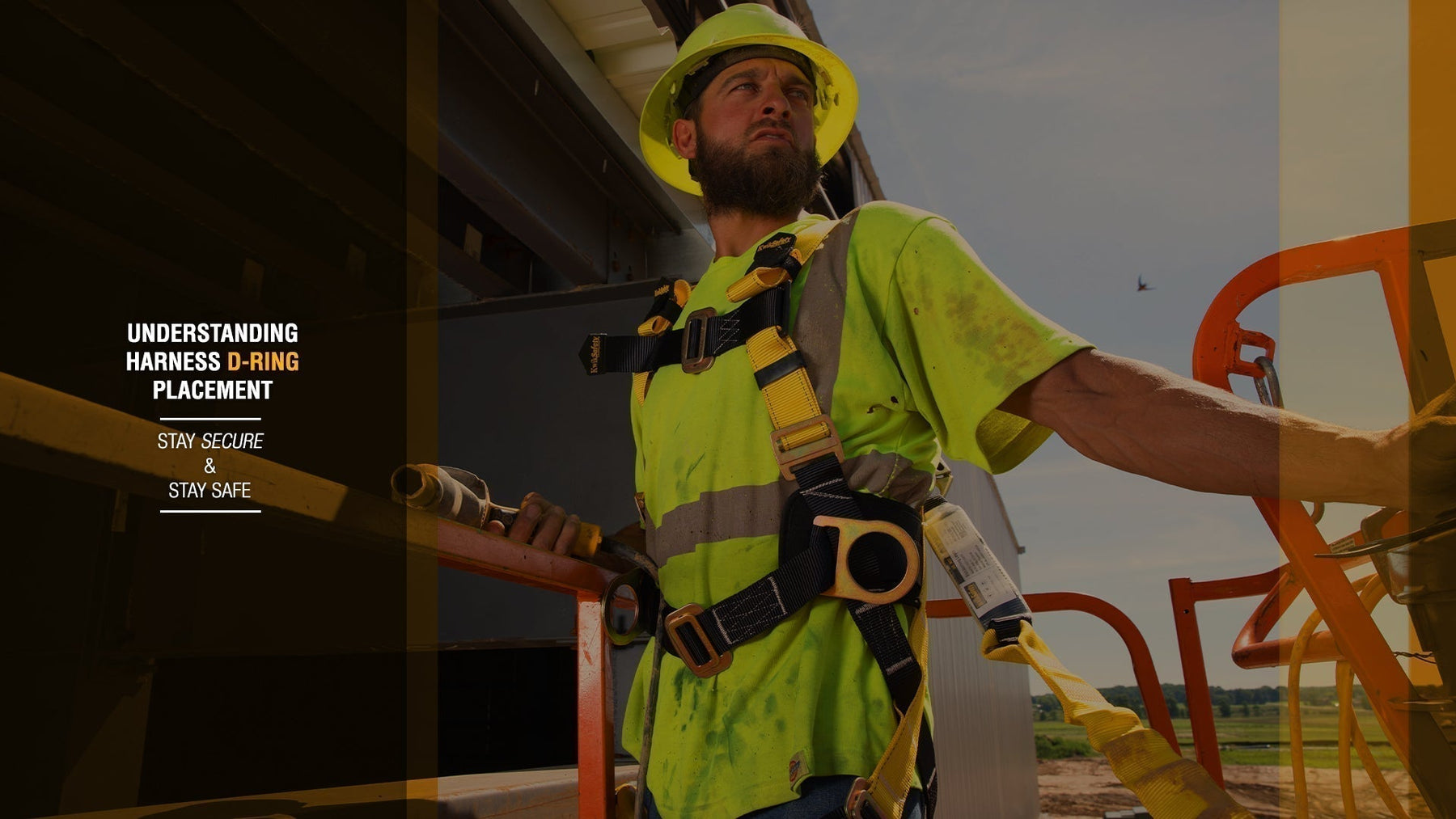 Understanding D-Ring Placement: What Each Connection Point Is For