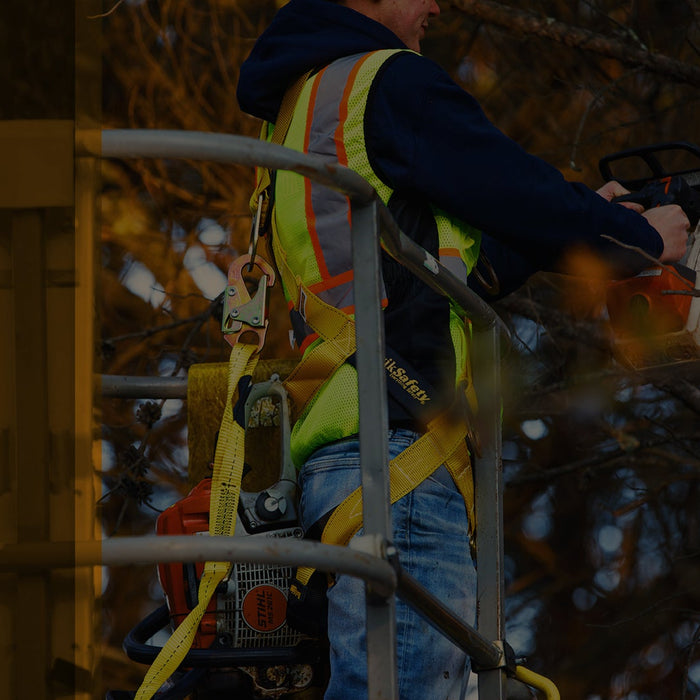 What Is An Arborist?